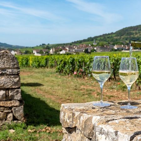 Charmante Maison Climatisee Avec Son Jardin A 10 Minutes De Dijon Marsannay-la-Côte Екстериор снимка