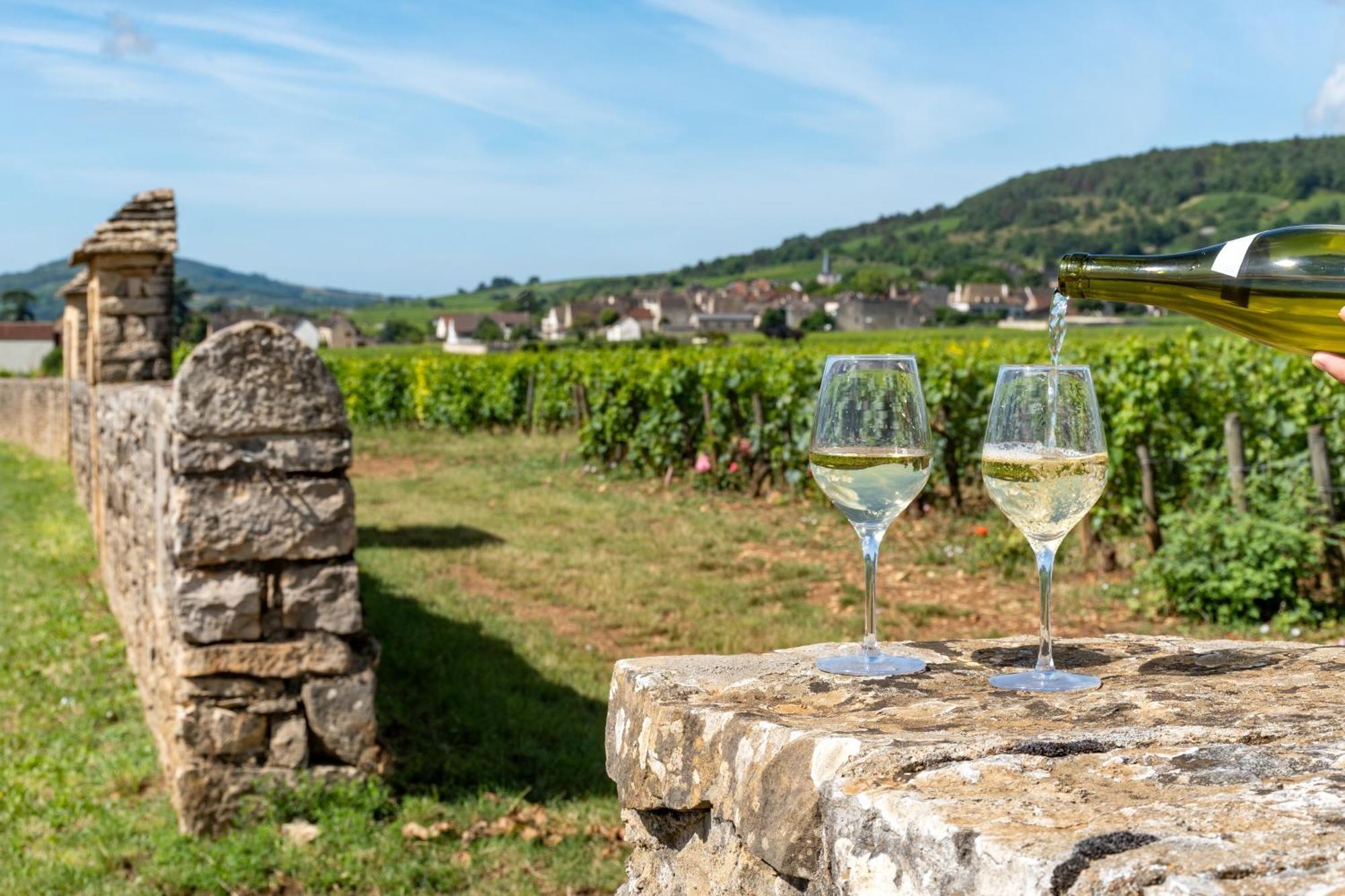Charmante Maison Climatisee Avec Son Jardin A 10 Minutes De Dijon Marsannay-la-Côte Екстериор снимка